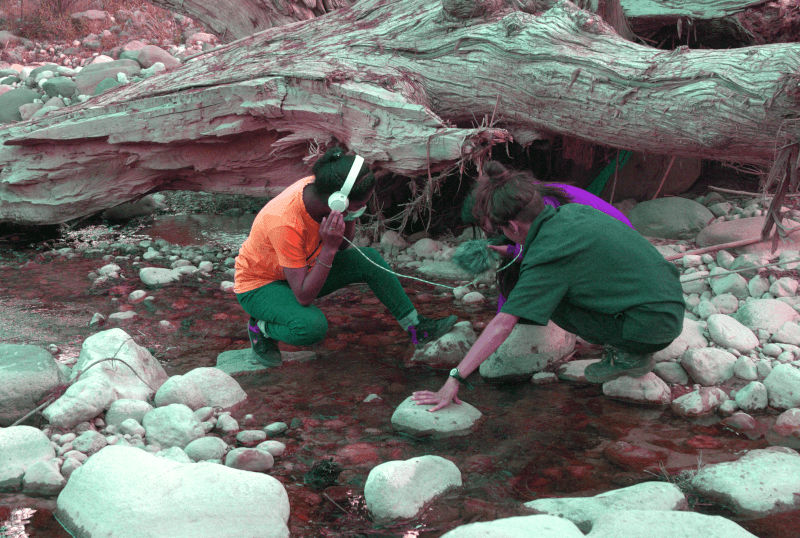 Un grupo de personas de diferentes edades escuchando el río con una grabadora y audífonos